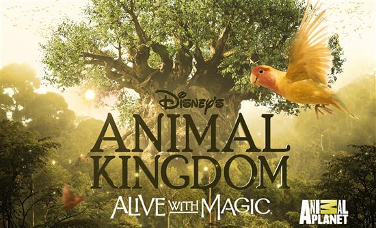 Arrow Media behind Disney+ documentary ‘Animal Kingdom’
